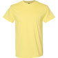 Gildan Unisex Heavy Cotton™ T-Shirt - 5000