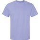 Gildan Unisex Softstyle® Midweight T-Shirt - 65000